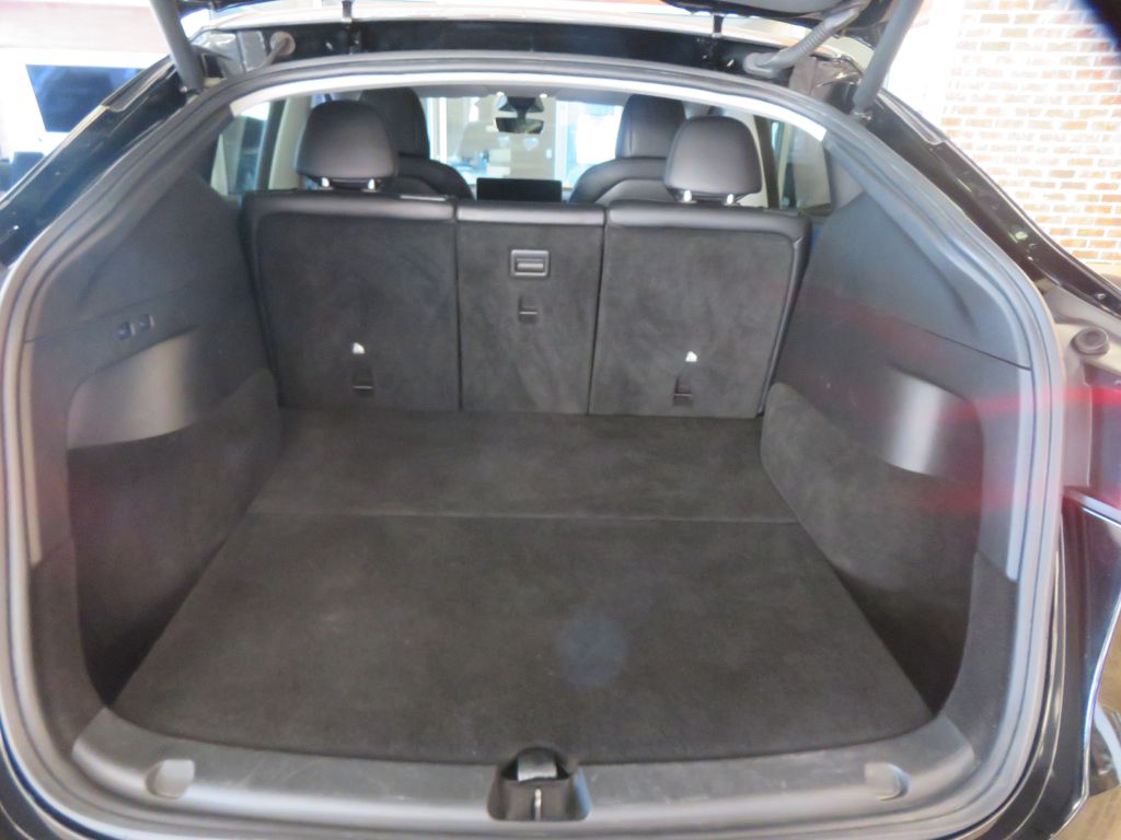 Photo 50 of this TESLA MODEL Y
