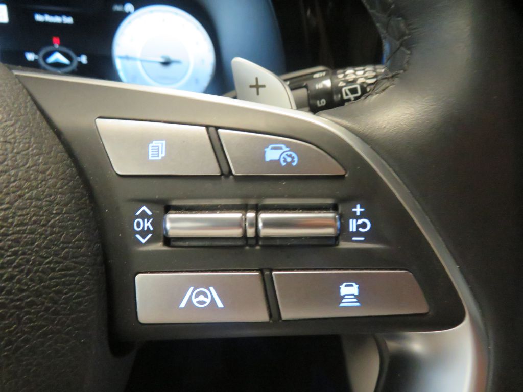 Photo 38 of this HYUNDAI PALISADE