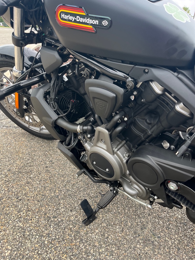 Photo 6 of this HARLEY DAVIDSON NIGHTSTER SPCL