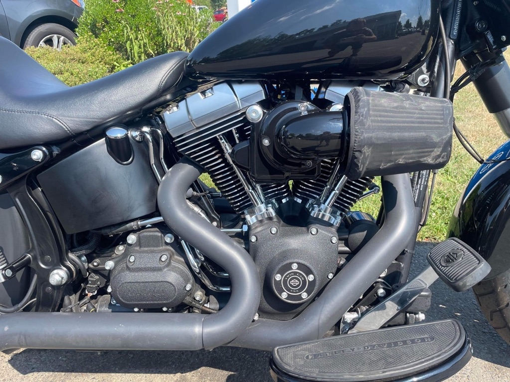 Photo 8 of this HARLEY DAVIDSON FAT BOY LO