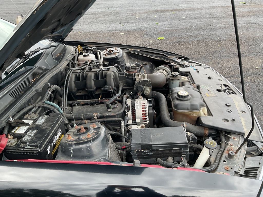 Photo 14 of this FORD MUSTANG