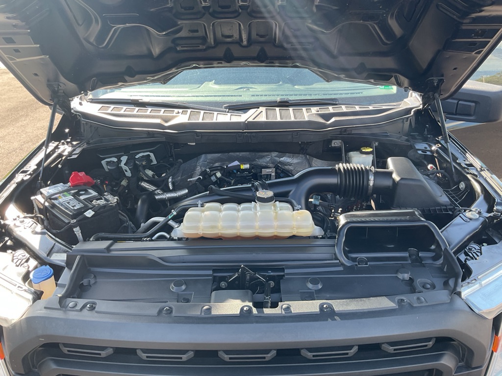 Photo 16 of this FORD F150
