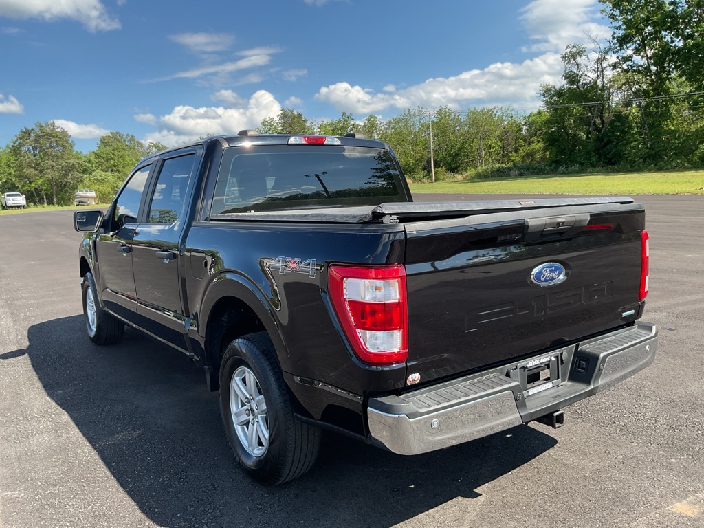 Photo 5 of this FORD F150