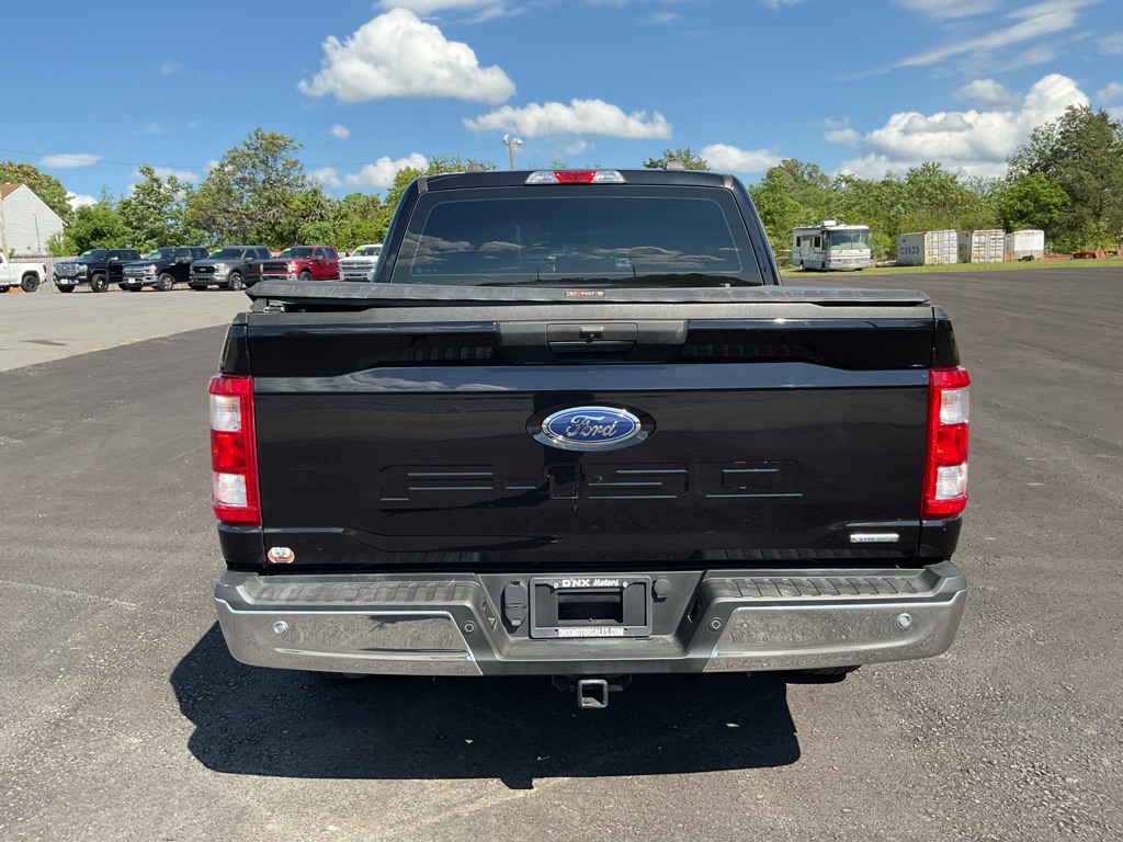 Photo 6 of this FORD F150