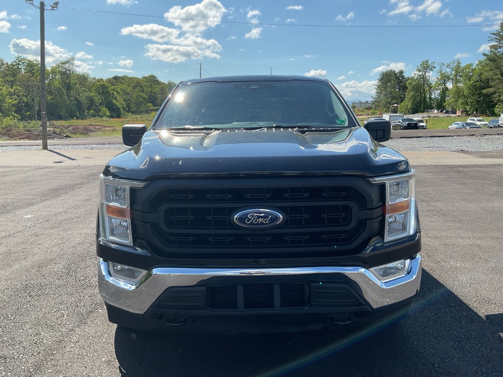 Photo 15 of this FORD F150