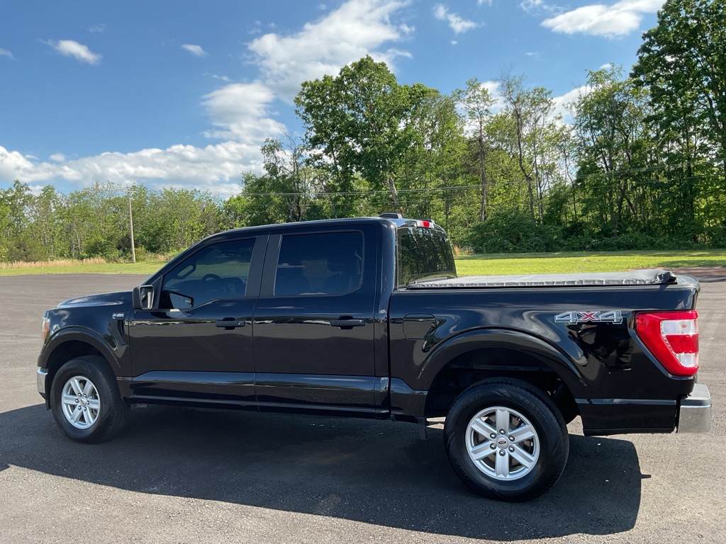 Photo 4 of this FORD F150