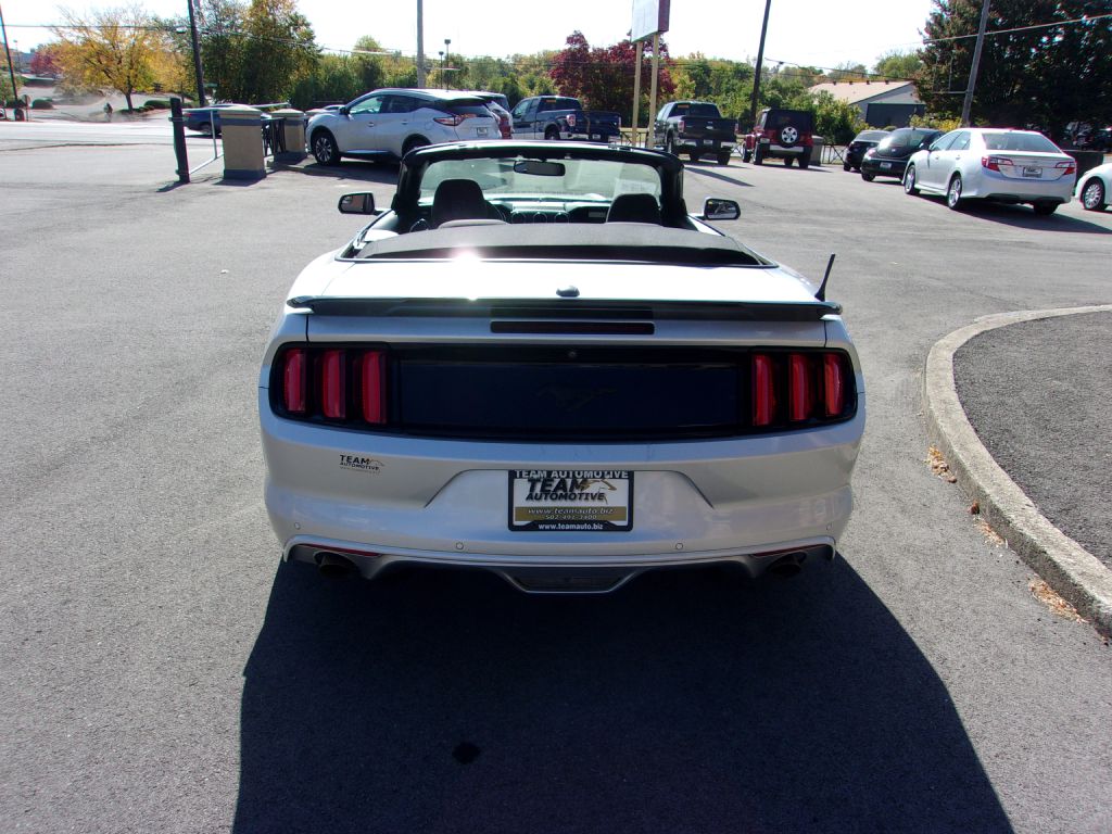 Photo 12 of this FORD MUSTANG