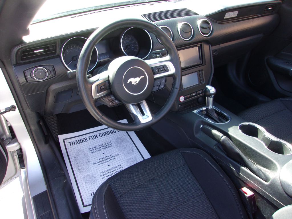 Photo 19 of this FORD MUSTANG