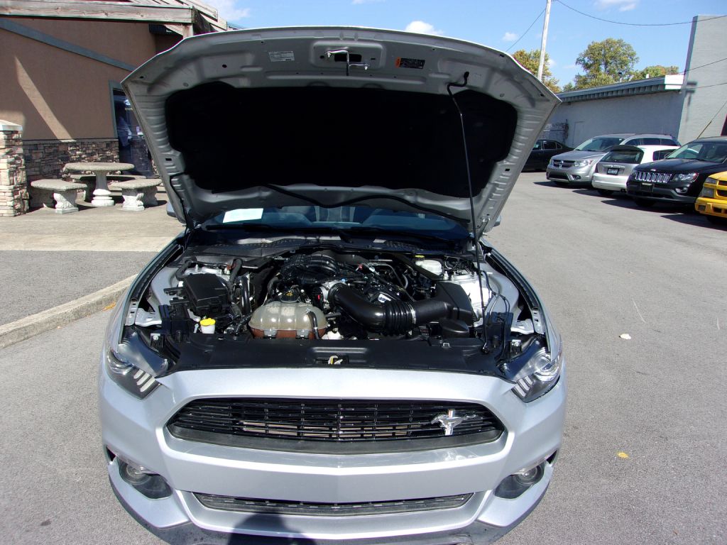 Photo 30 of this FORD MUSTANG