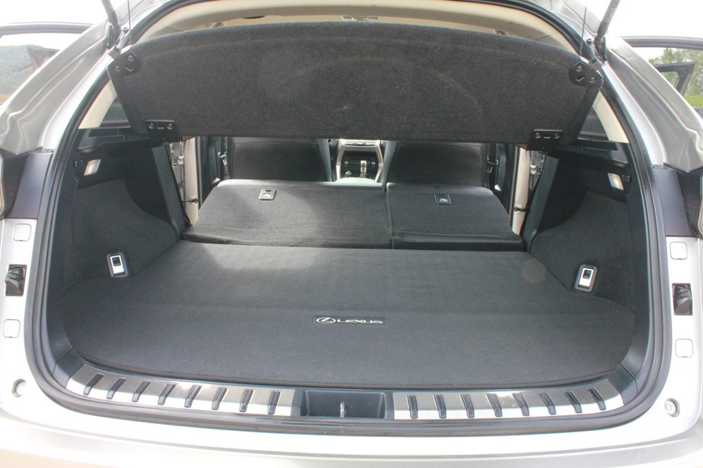 Photo 41 of this LEXUS NX 300