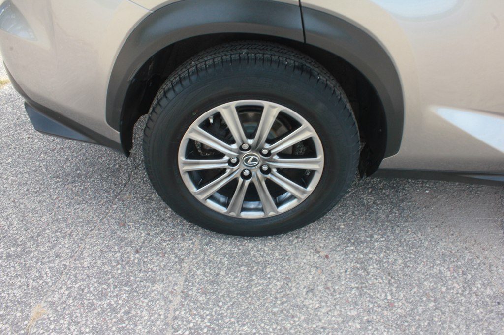 Photo 54 of this LEXUS NX 300