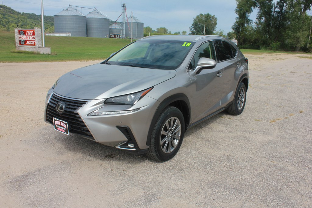 2018 LEXUS NX 300