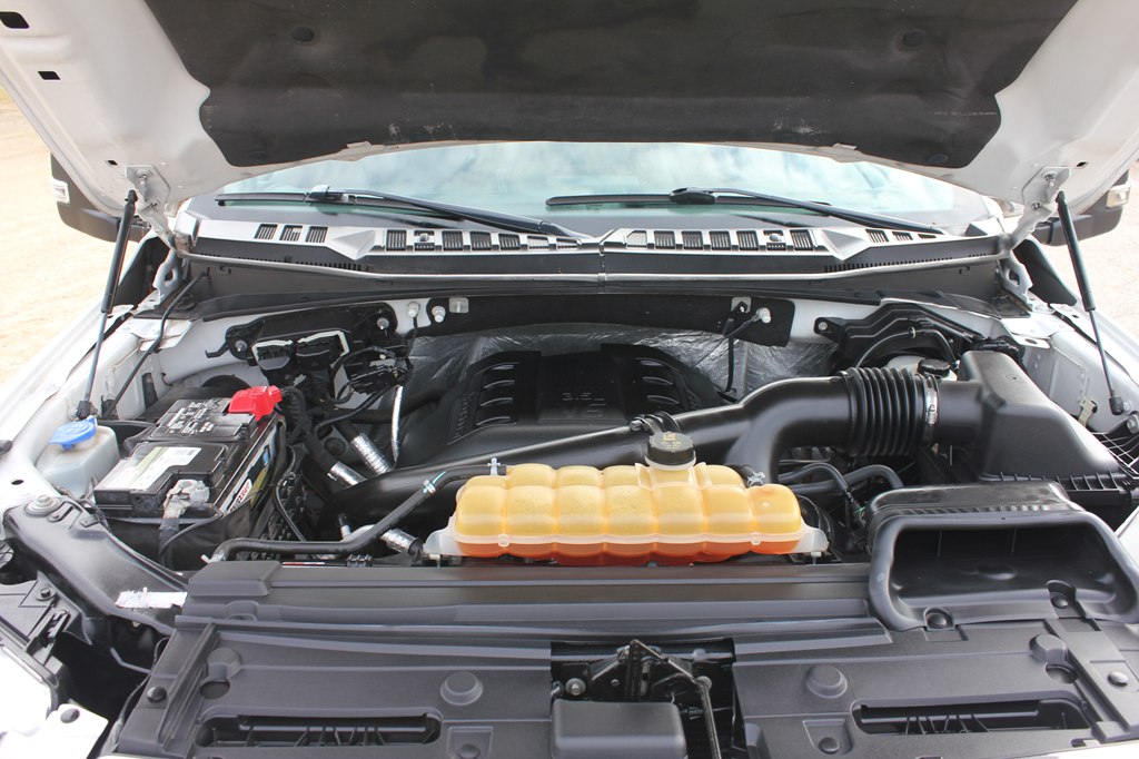Photo 51 of this FORD F-150