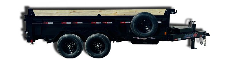 Photo 6 of this LIBERTY 14K DUMP