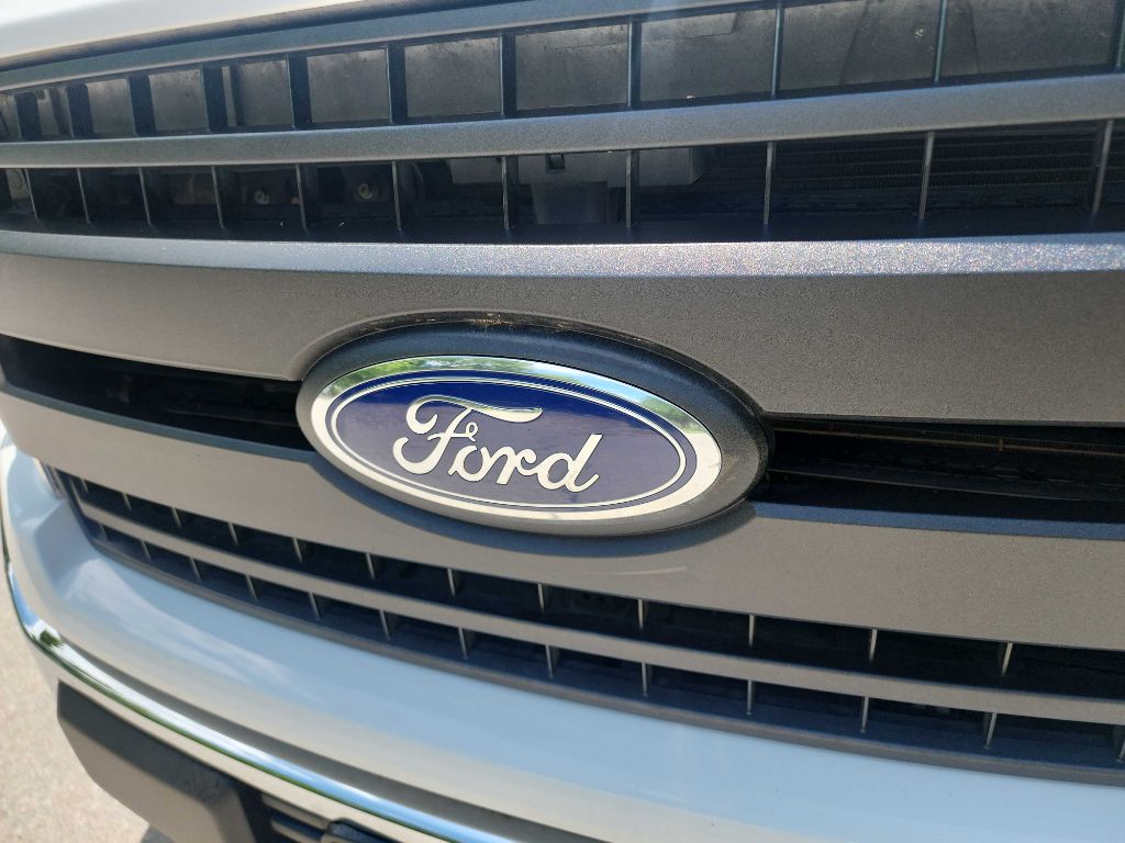 2019 Ford F-150 photo 2