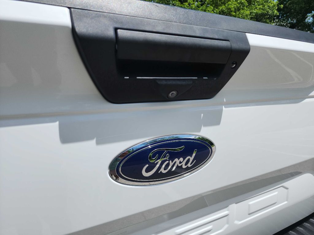 2019 Ford F-150 photo 9