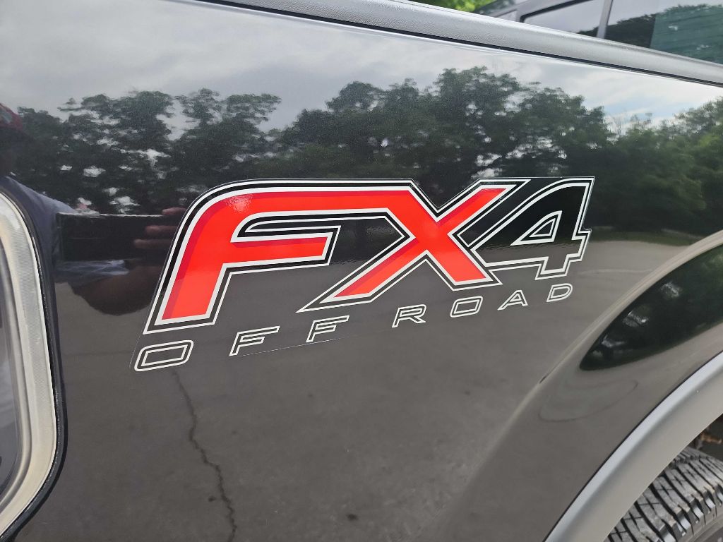 2010 Ford F-150 photo 38
