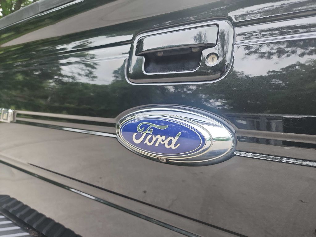 2010 Ford F-150 photo 37