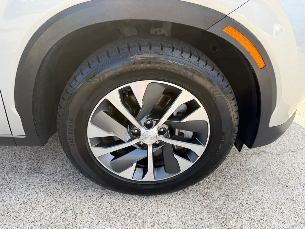 2019 Hyundai Santa Fe XL Base photo 47