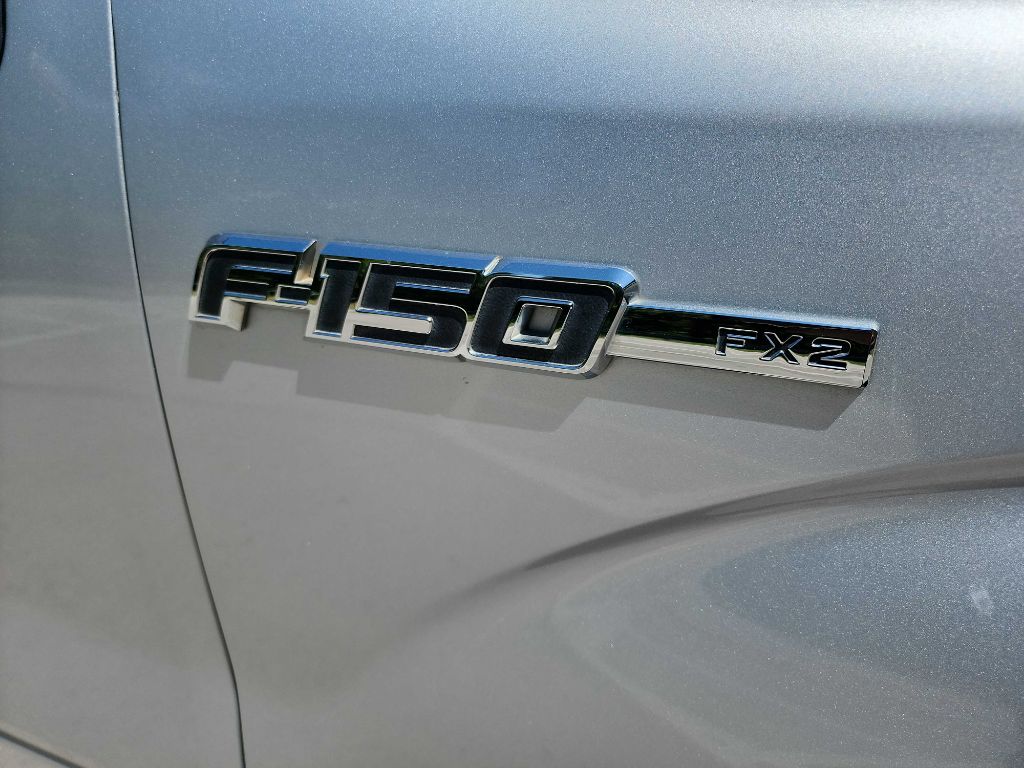 2010 Ford F-150 photo 10