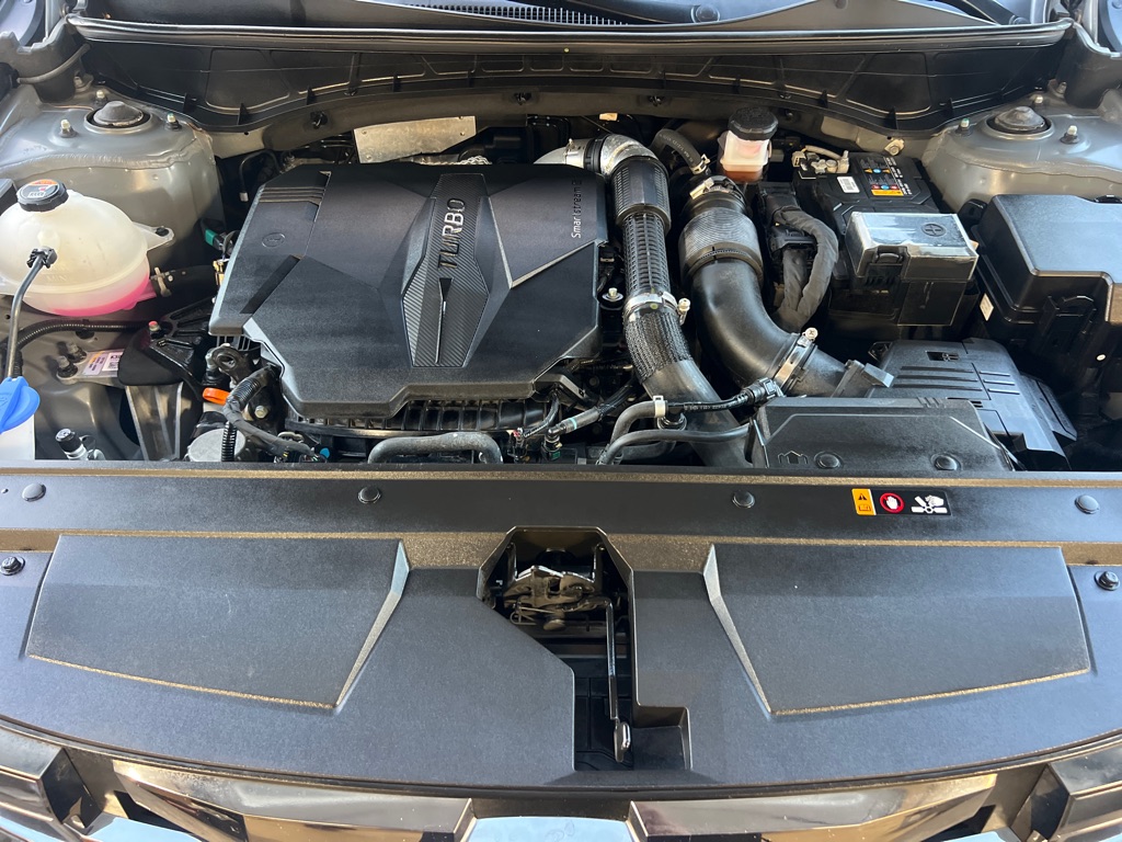 Photo 40 of this HYUNDAI SANTA CRUZ