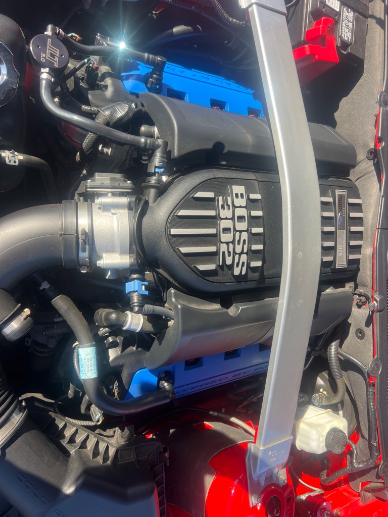 Photo 48 of this FORD MUSTANG