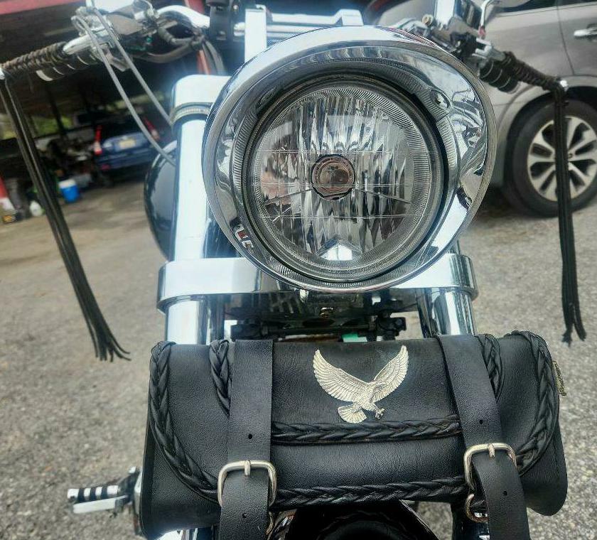 Photo 3 of this HONDA VTX1800