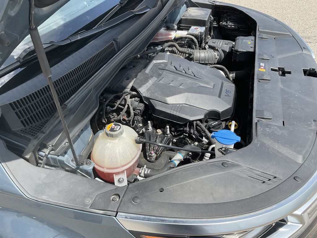 Photo 38 of this KIA CARNIVAL