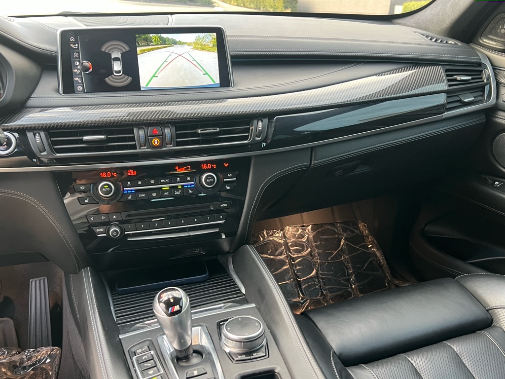 Photo 18 of this BMW X6