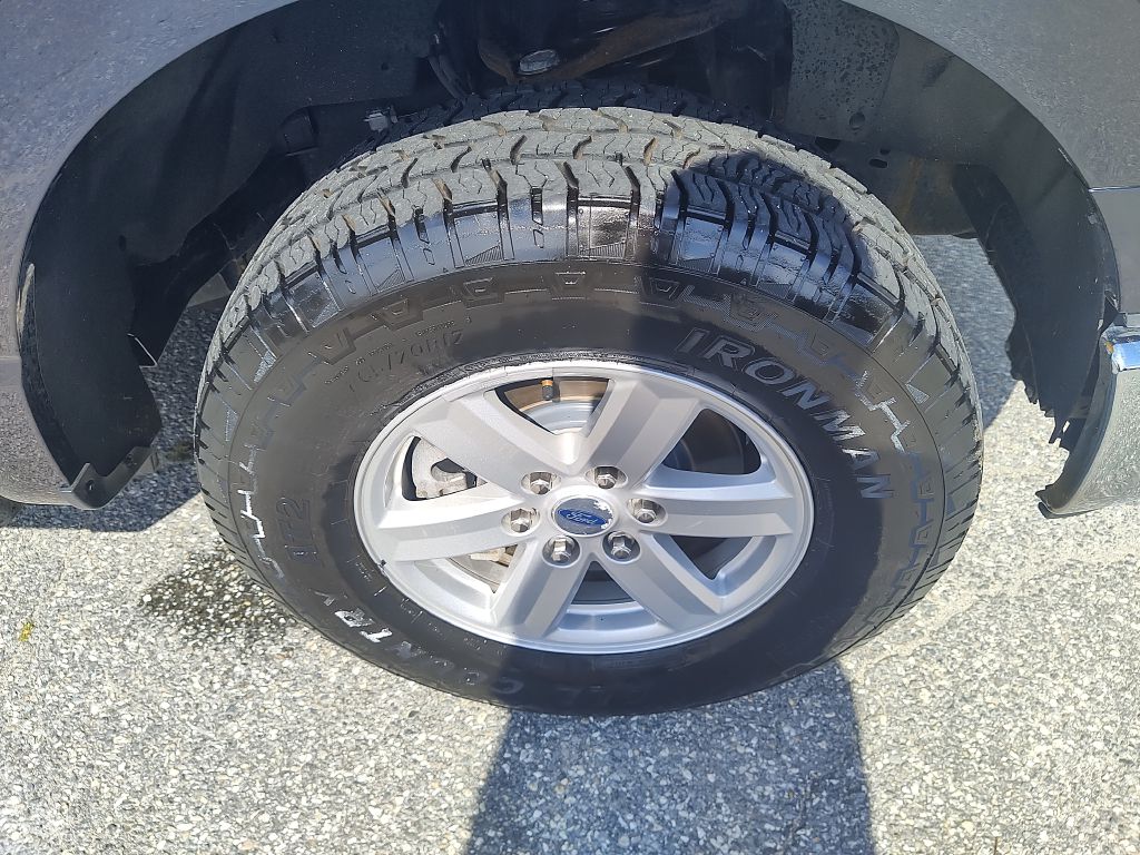 Photo 18 of this FORD F150