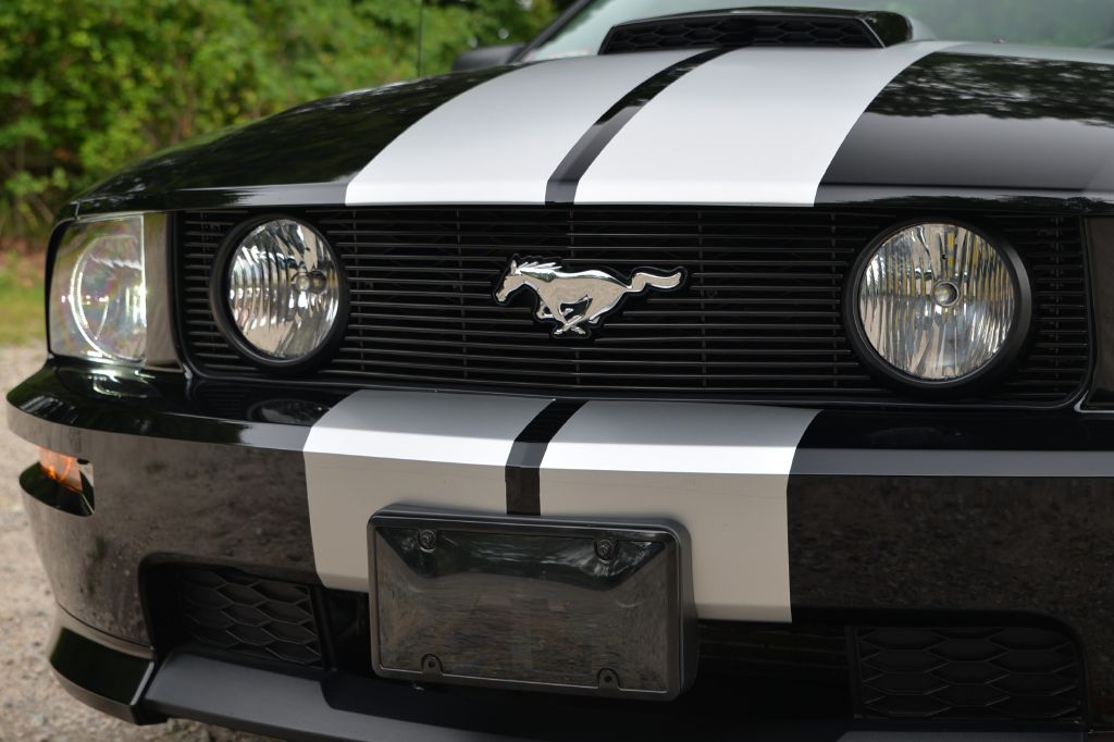 Photo 21 of this FORD MUSTANG