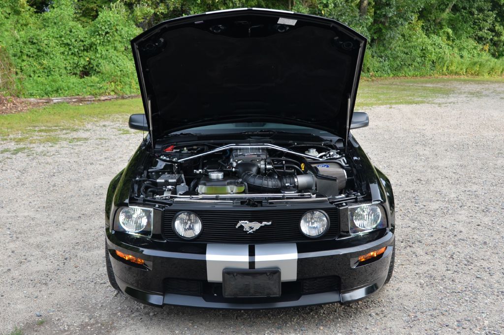 Photo 35 of this FORD MUSTANG