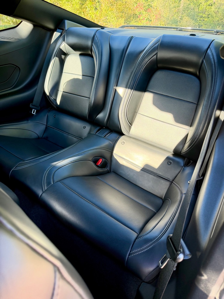 Photo 14 of this FORD MUSTANG GT