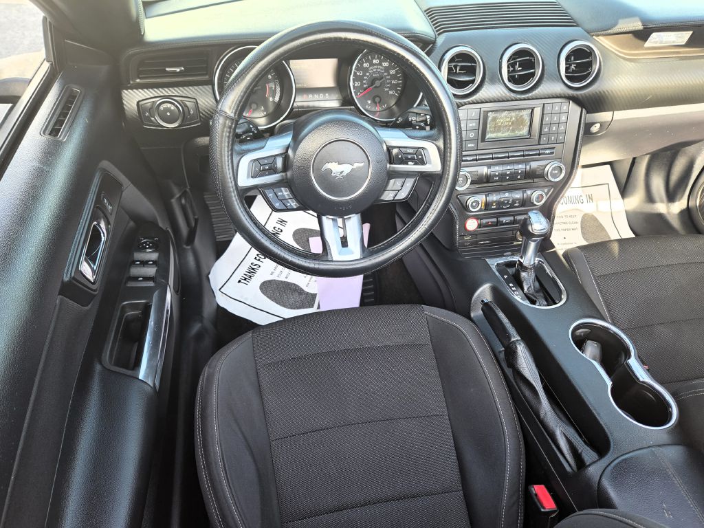 Photo 13 of this FORD MUSTANG