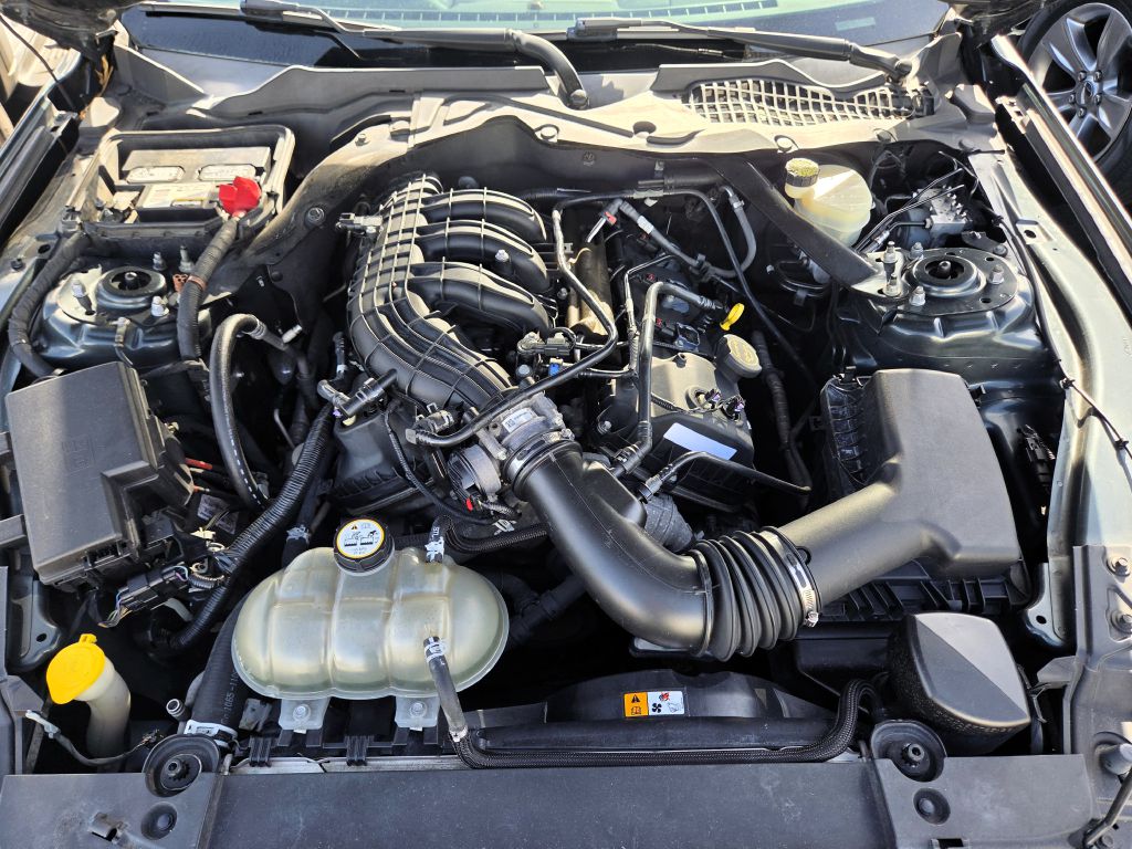 Photo 16 of this FORD MUSTANG