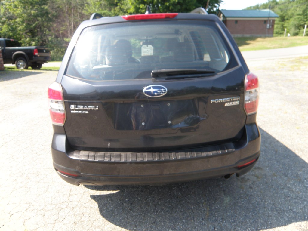 Photo 15