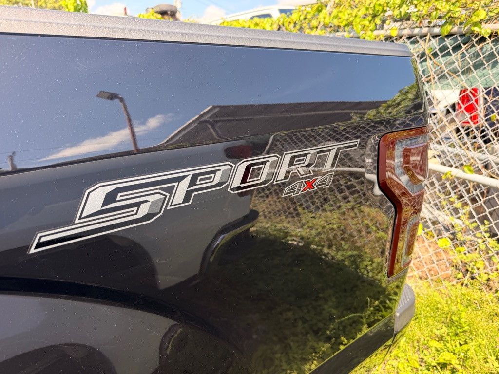 Photo 22 of this FORD F150