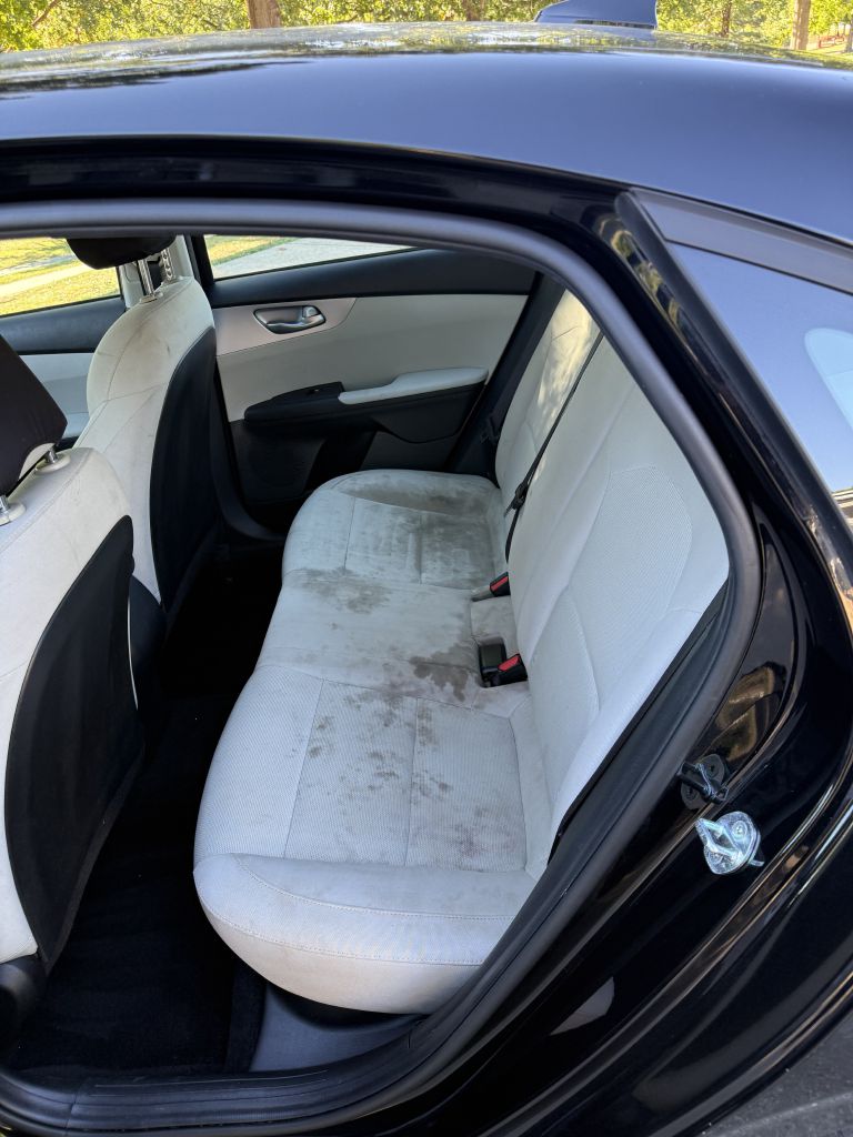 Photo 12 of this KIA FORTE