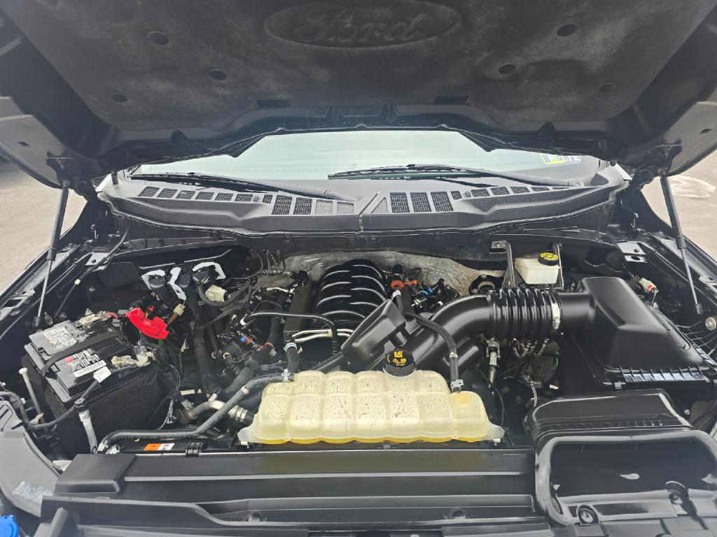Photo 19 of this FORD F-150