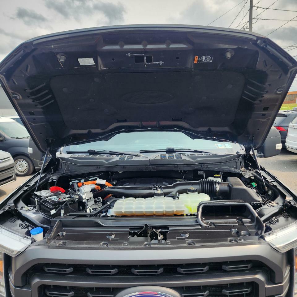 Photo 19 of this FORD F-150