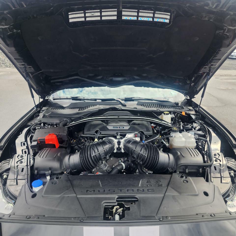 Photo 19 of this FORD MUSTANG