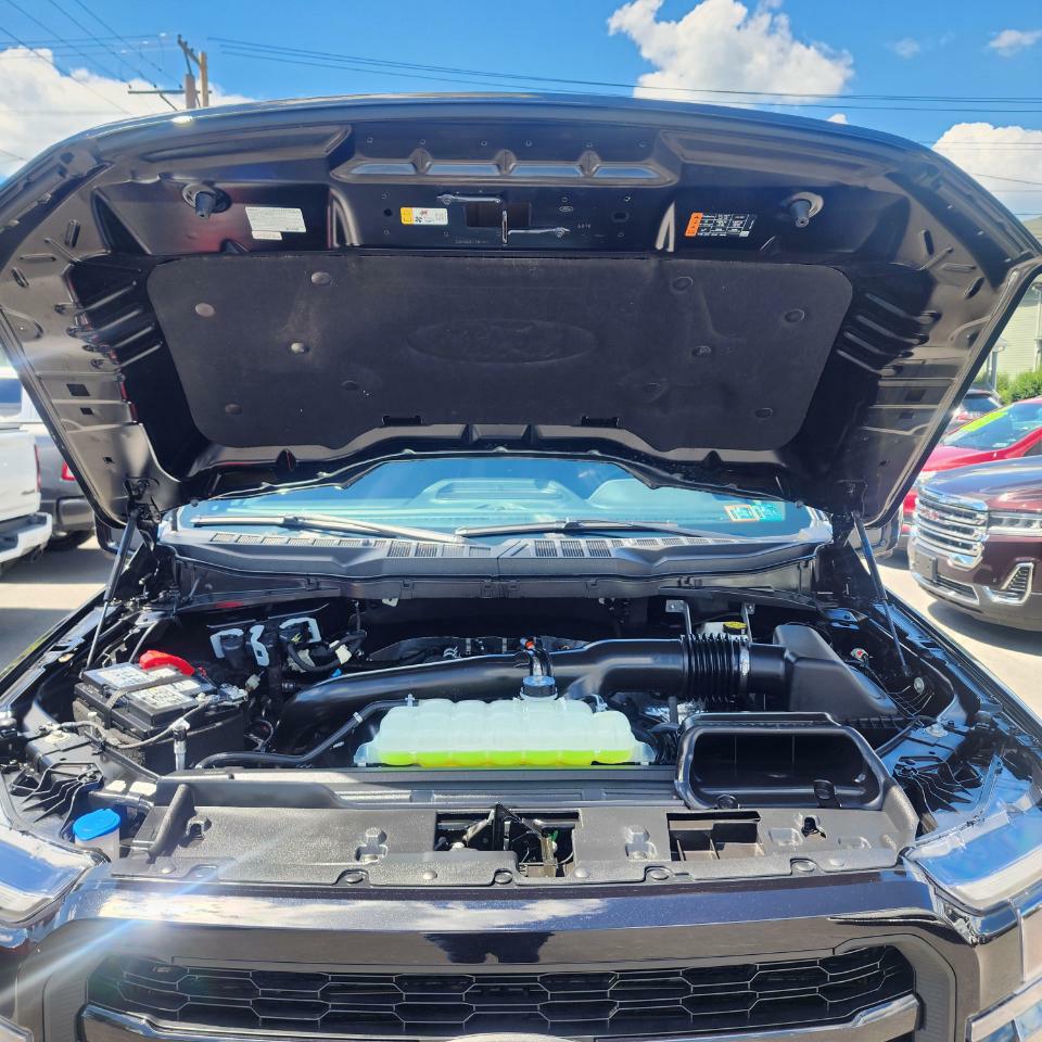 Photo 19 of this FORD F-150