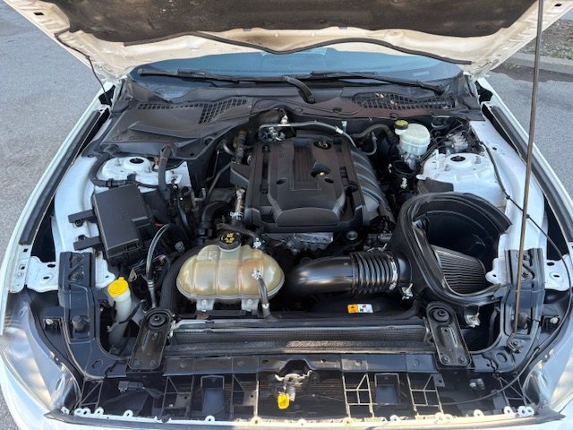 Photo 29 of this FORD MUSTANG