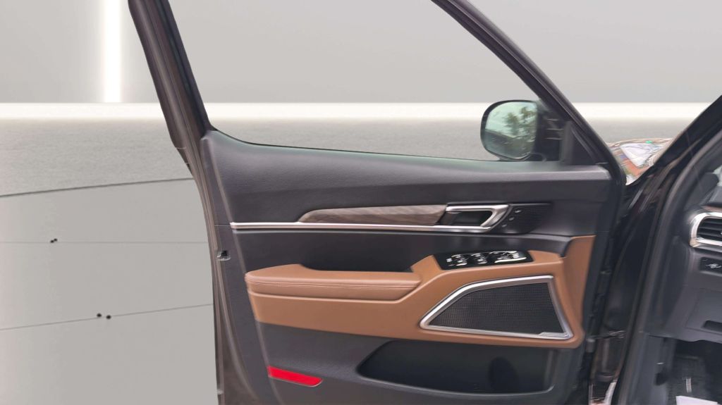 Photo 18 of this KIA TELLURIDE