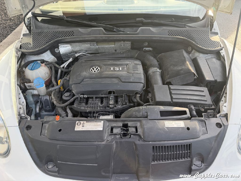 Photo 12 of this VOLKSWAGEN BEETLE