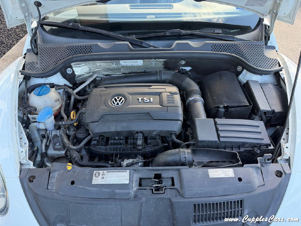 Photo 11 of this VOLKSWAGEN BEETLE