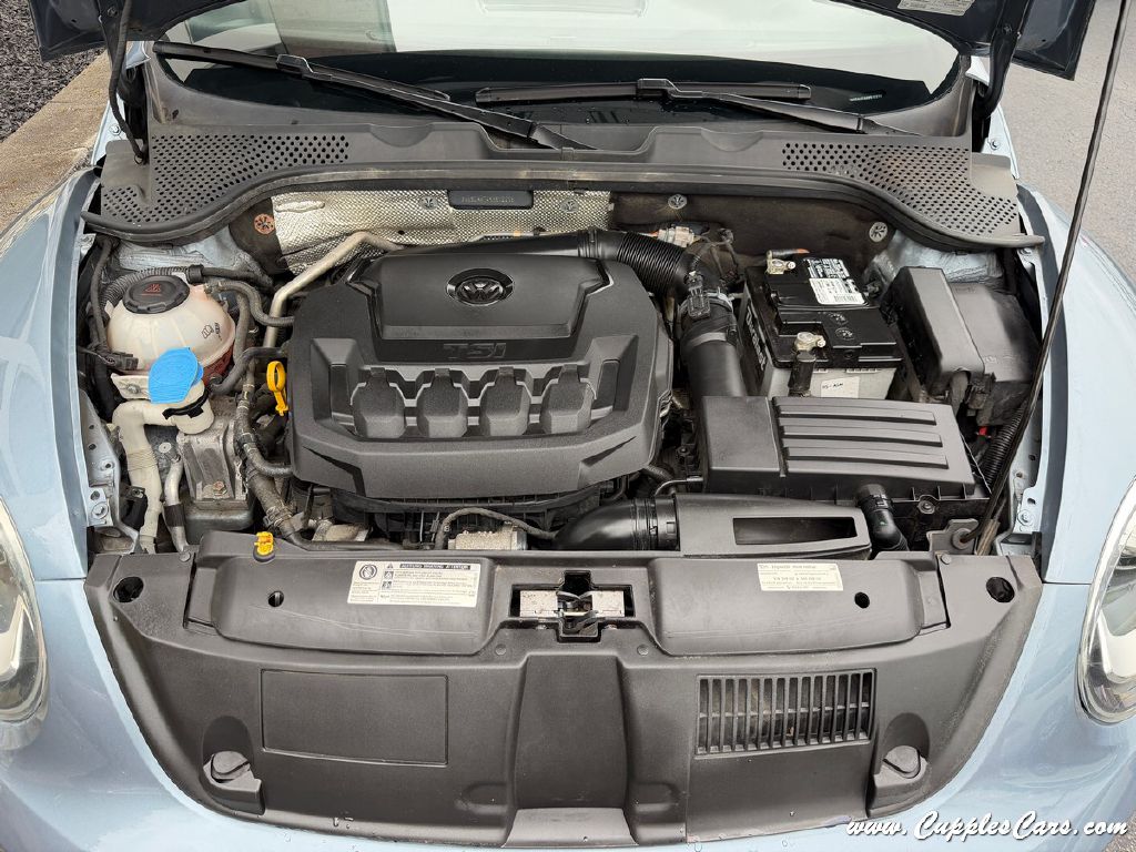 Photo 19 of this VOLKSWAGEN BEETLE