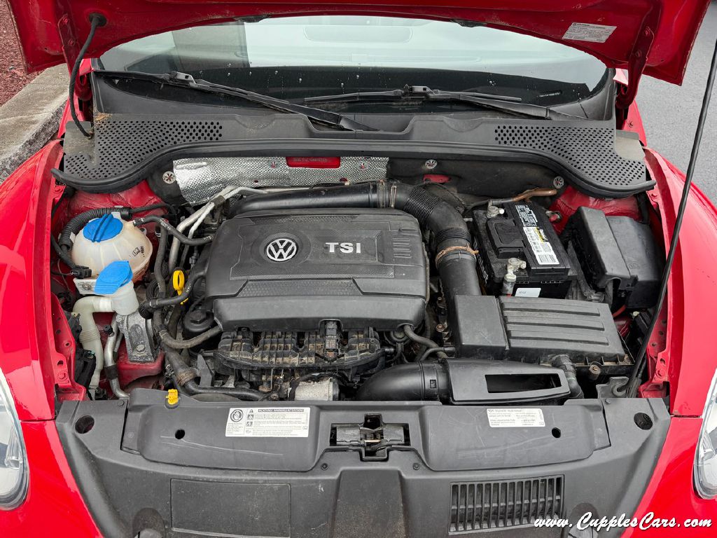 Photo 13 of this VOLKSWAGEN BEETLE