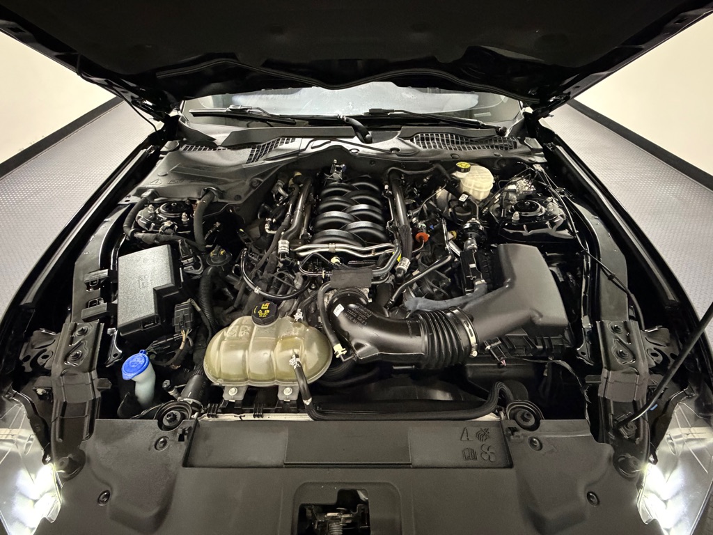 Photo 15 of this FORD MUSTANG
