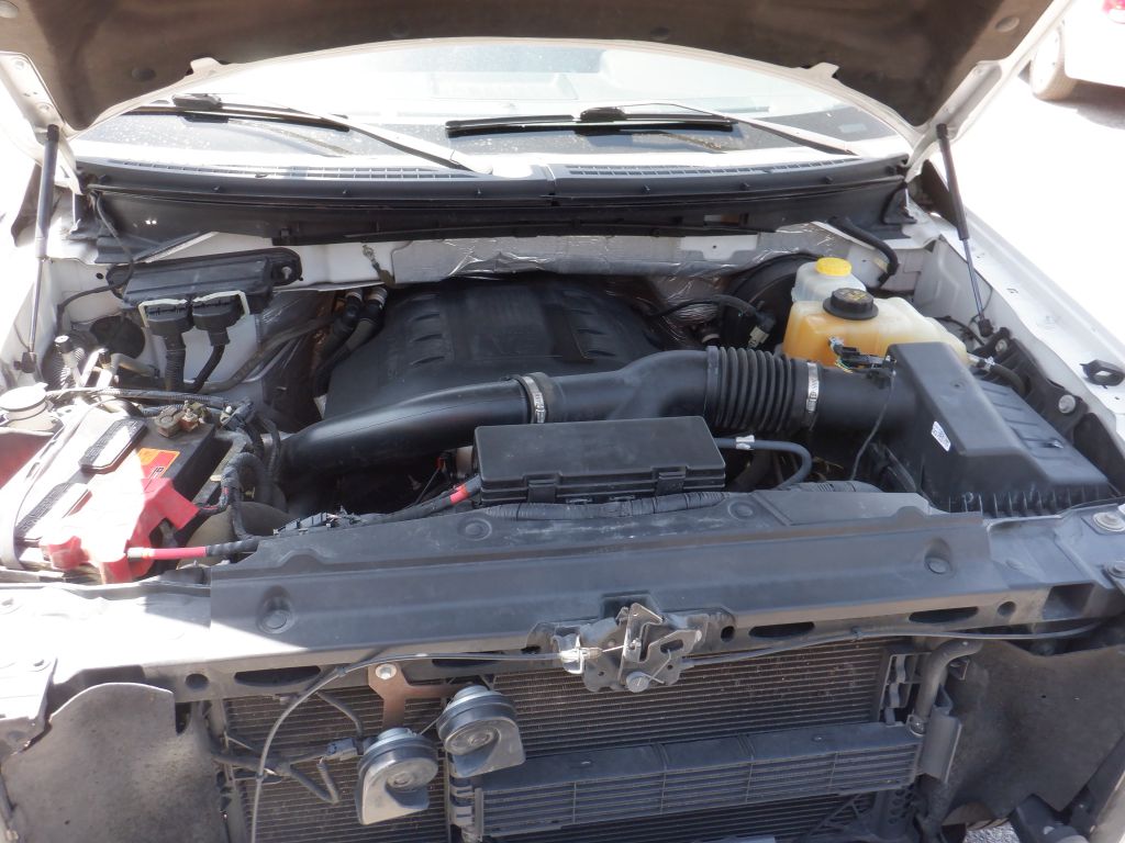 Photo 16 of this FORD F150